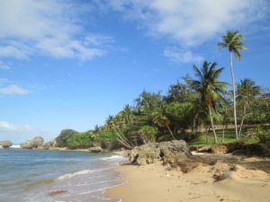 The beach at Bathsheba on the east coast of Barbados